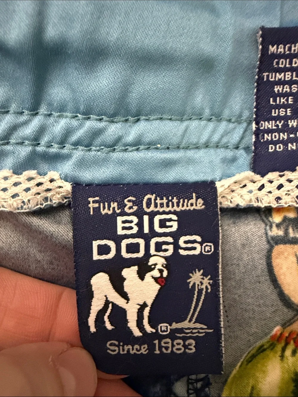 Big Dogs big dogs